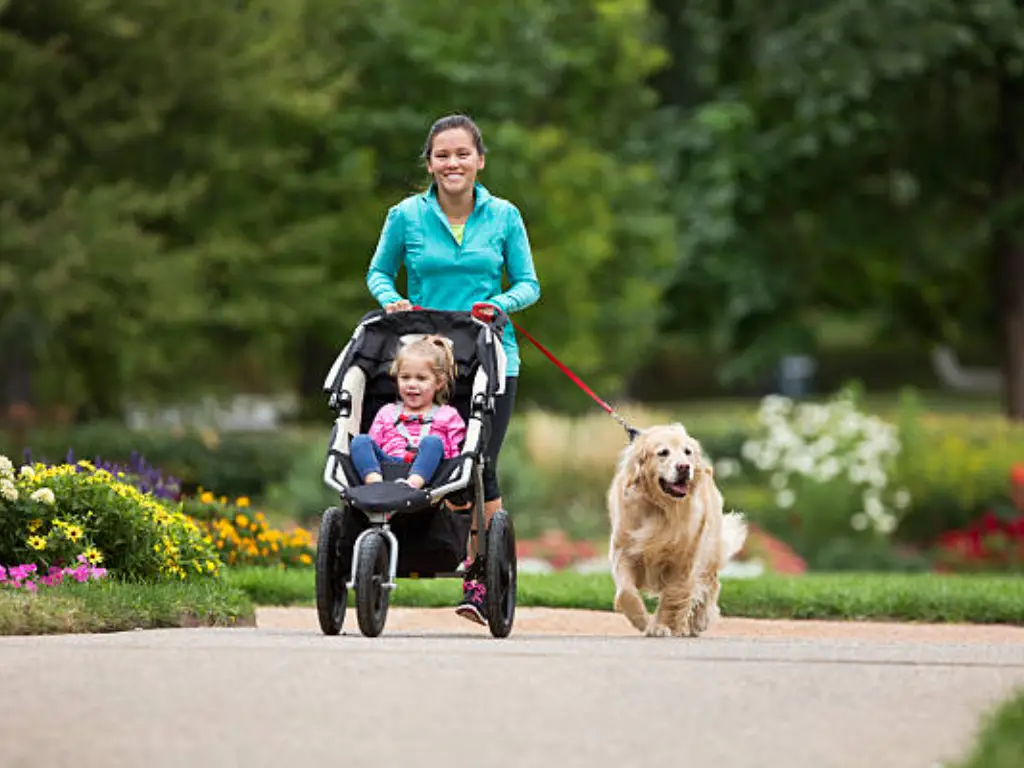 wagons stroller HARPPA Rova