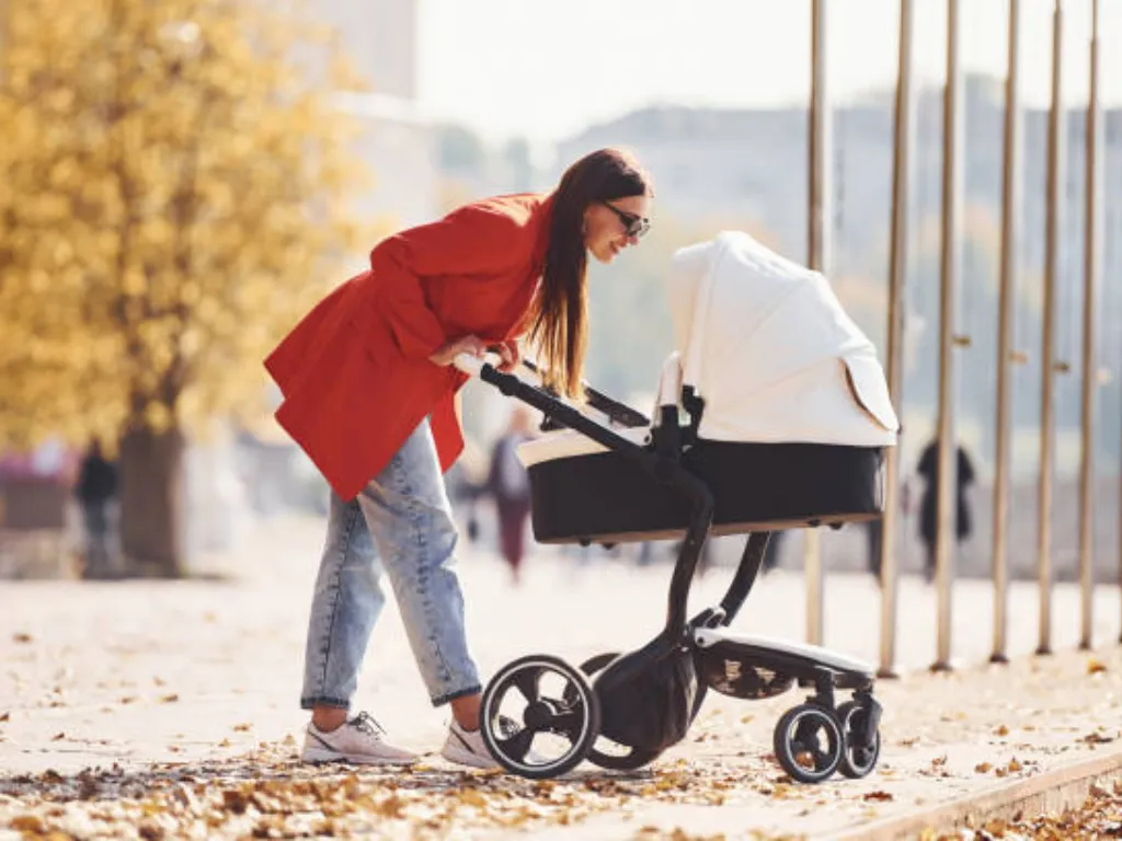 Die Wahrheit ans Licht bringen: Warum sind Kinderwagen so teuer?
